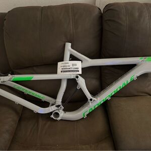 Cannondale Jekyll Gray and Green Bike Frame (hard to find color)